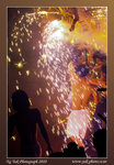 20100228-0826