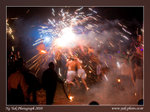 20100228-0878