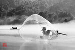 20110814-0309bw