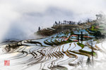 20120110-0176_7_8EnhancerCopy 1