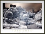 20070401-010