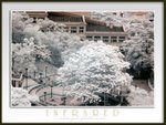 20070401-017