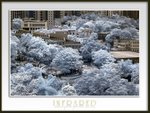 20070527-050