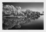 20081005-012bw