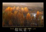 20031014-0133