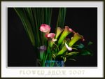 20070317-058a