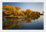 20081005-012
