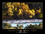 20051018-238