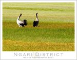 20070714-026