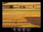 20040918-049