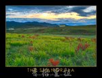 20040922-271