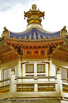 DPP_0029
