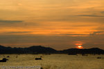 IMG_0002_1