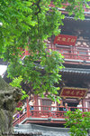 DPP_0077