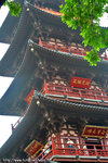 DPP_0078