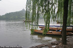 DPP_0035