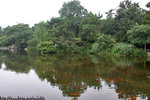 DPP_0084