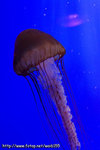 IMG_0056