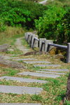 DPP_0008