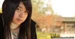 DPP_0024
