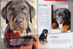 scan2