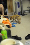 DSC_7656_resize