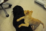 DSC_7657_resize