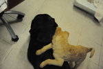 DSC_7658_resize