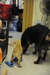 DSC_7662_resize