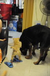 DSC_7663_resize