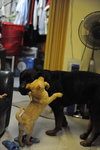 DSC_7665_resize