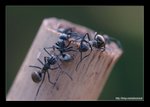 DSC_7237