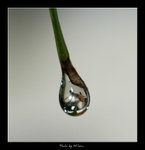 drop05