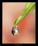 drop09