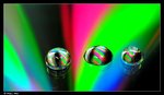DSC_1427