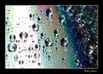 04_G