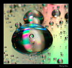 08_G
