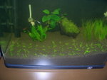 Wilson's Aquarium on 2006-08-01