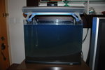 
1st Day of Wilson's Aquarium on 2006-07-25