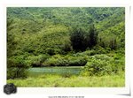 IMG_0021a