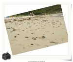 IMG_0024a