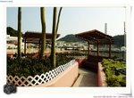 IMG_0886a