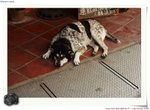 IMG_0887a