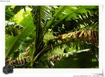 IMG_0894a