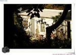 IMG_0896a