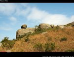 IMG_1054a