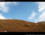 IMG_1057a