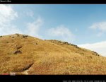 IMG_1068a