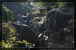 IMG_0790