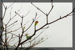 IMG_7416